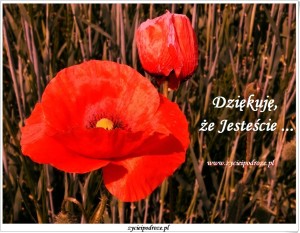 IMG_20160601_111750_HDR