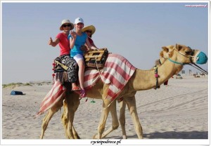 fb_img_1473386452449