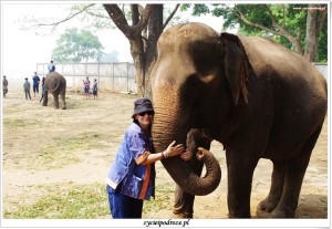 fb_img_1473386579122