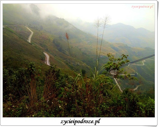 14650484_1791283837825736_2579458887352676328_n1