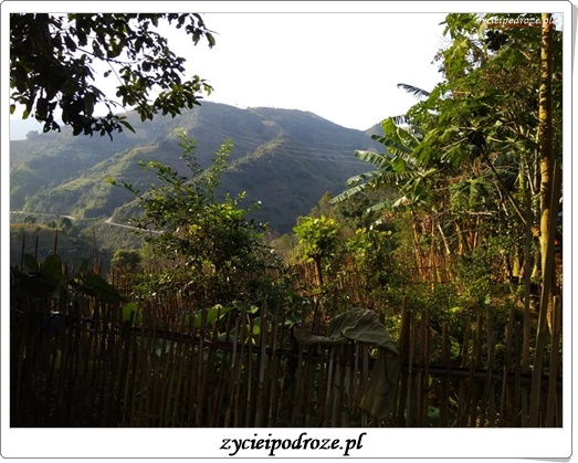 14680581_1791281814492605_5678842233767118108_n1