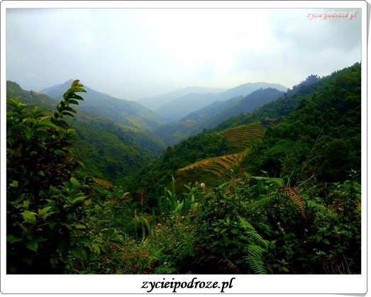 14705687_1791283801159073_8321679226799116614_n1