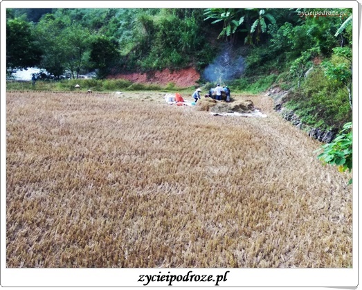 14718885_1791281881159265_4579530079984722564_n1