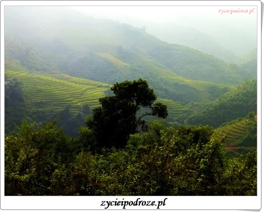 14725668_1791281131159340_685821627499824808_n1