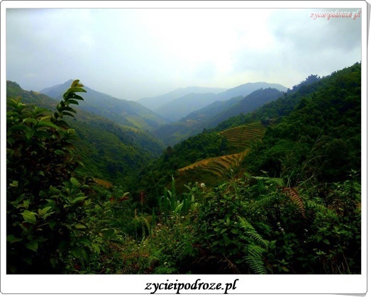 14705687_1791283801159073_8321679226799116614_n1