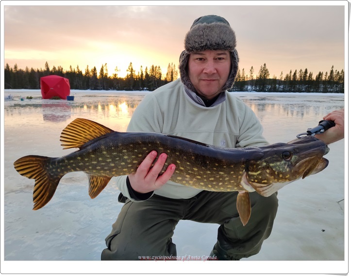 Wędkowanie podlodowe